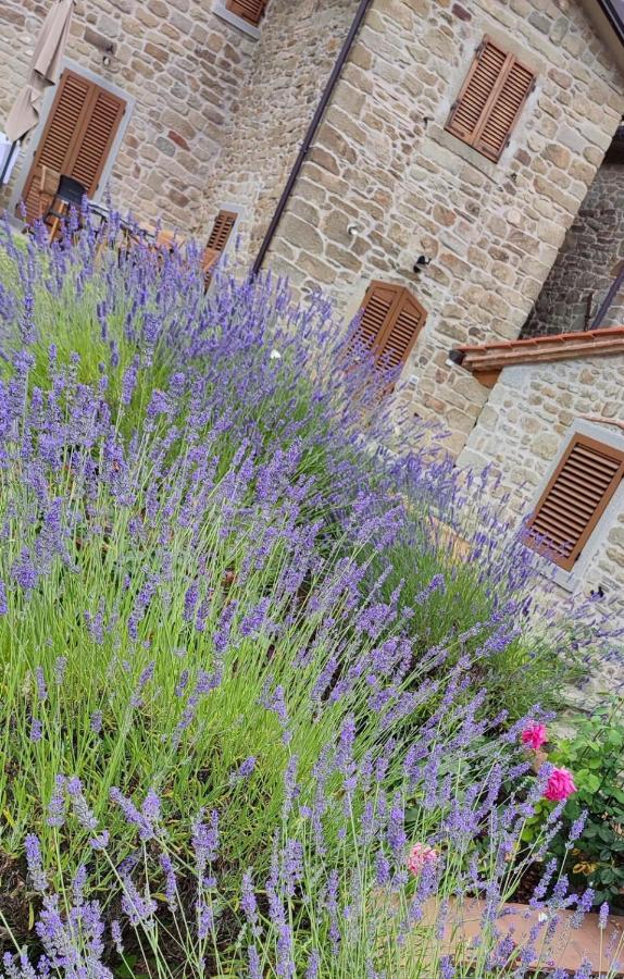 Podere Verdi Colline Poppi Εξωτερικό φωτογραφία