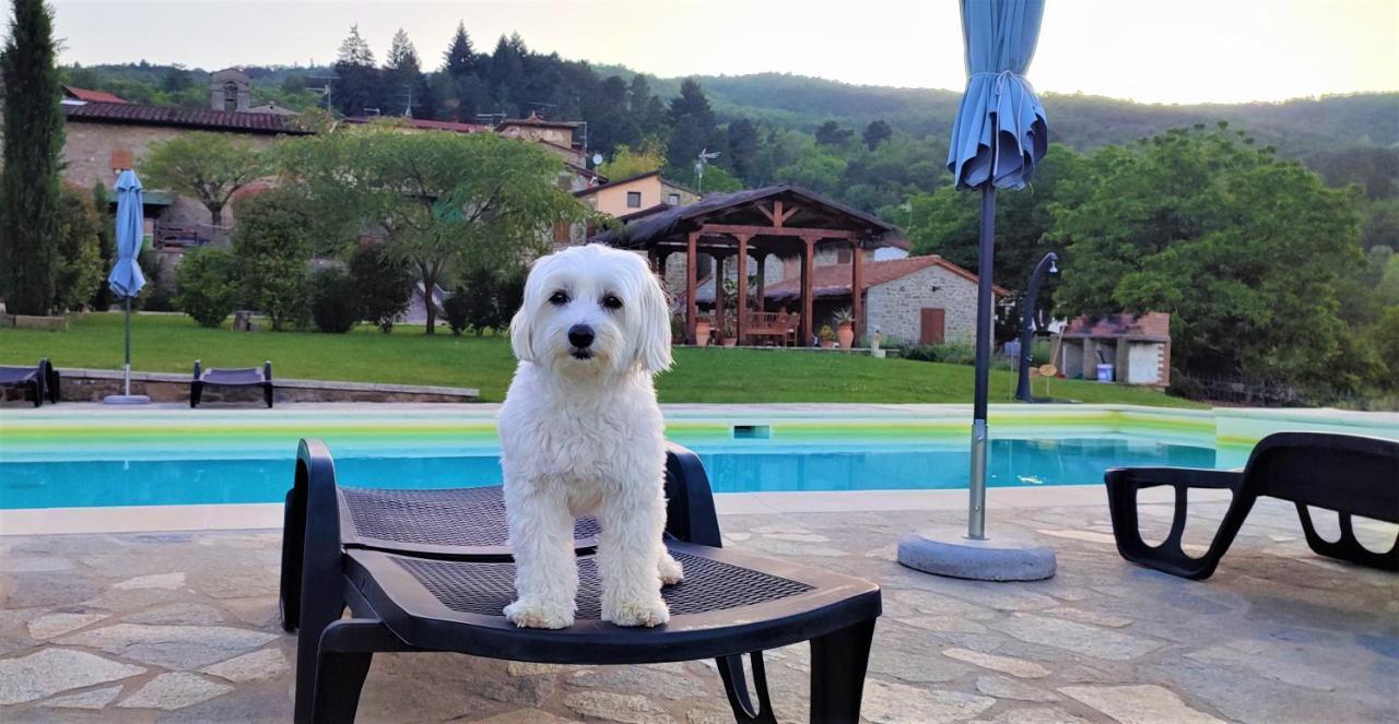 Podere Verdi Colline Poppi Εξωτερικό φωτογραφία