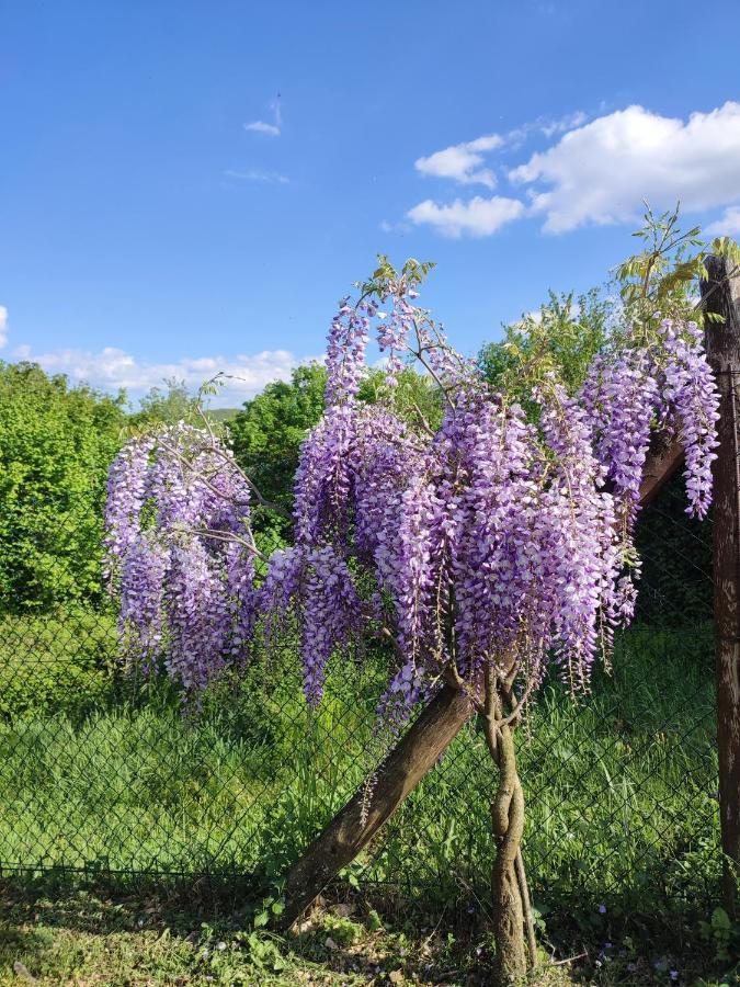 Podere Verdi Colline Poppi Εξωτερικό φωτογραφία