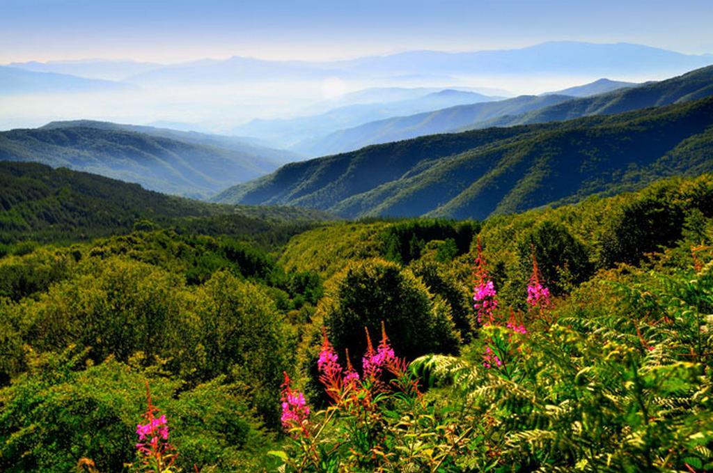 Podere Verdi Colline Poppi Εξωτερικό φωτογραφία